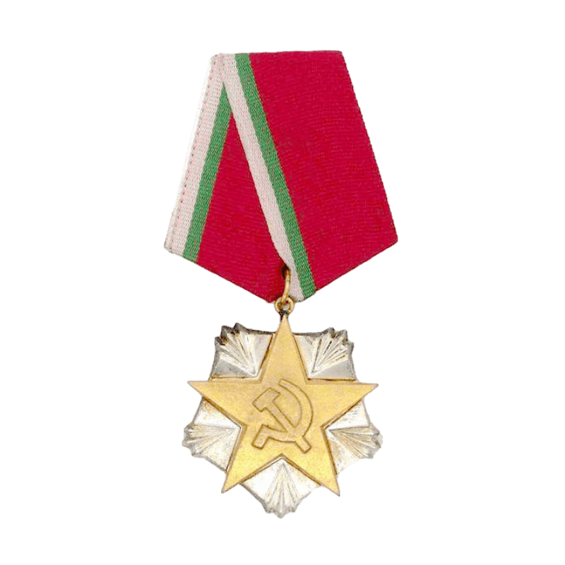 Custom Bicolor Distinguished Service Military Medal